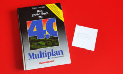 DB Das große Buch zu Multiplan 4.0