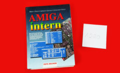 DB AMIGA intern
